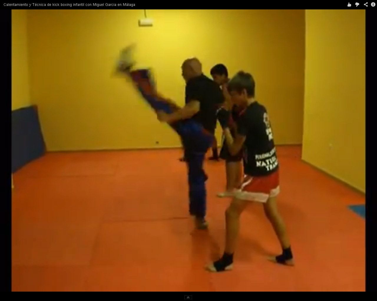 Ver vídeo Vídeo completo de calentamiento y técnicas infantiles de kick Boxing