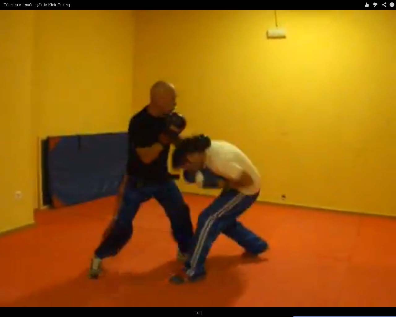 Ver Vídeo Técnica de puños de Kick Boxing (2)