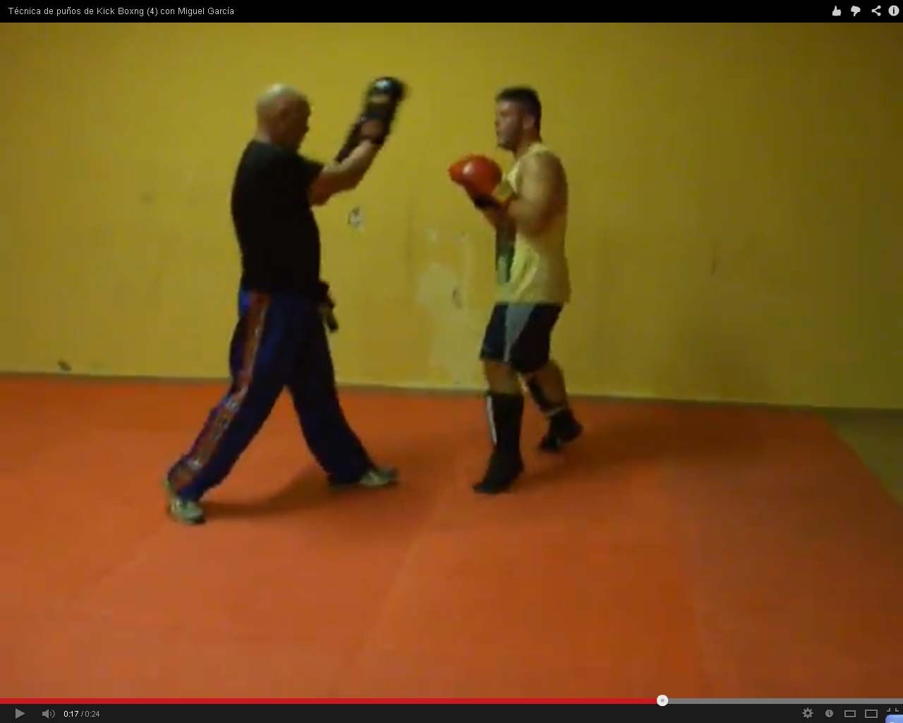Ver Vídeo. Técnica de puños de Kick Boxing (4)